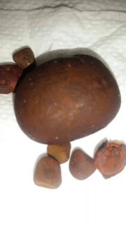  High quality Cow/Ox gallstones for sale 2