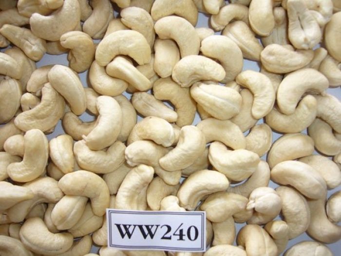 Vietnamese Cashew Nuts Kernels WW450 1