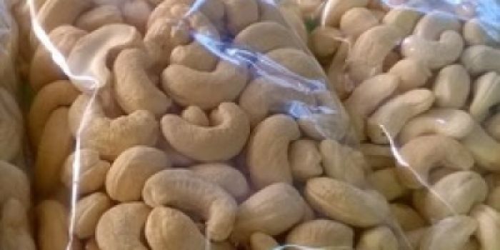Vietnamese Cashew Nuts Kernels WW450 2
