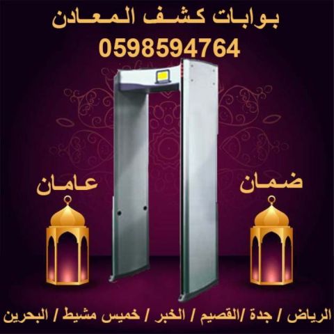 بوابات كشف المعادن 2
