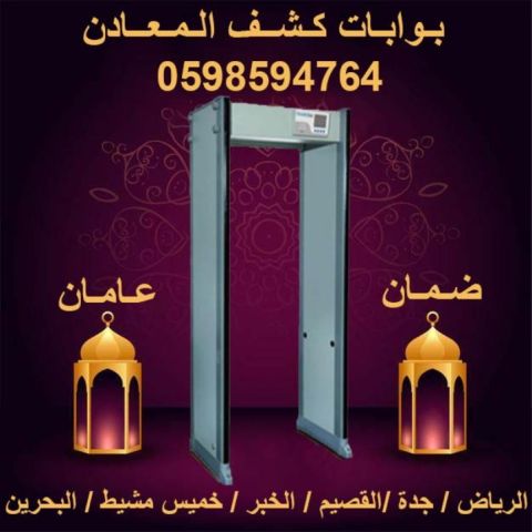 بوابات كشف المعادن 3