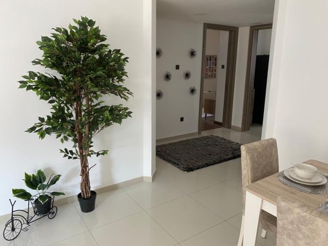 للإيجار شقق في الحد الجديدة  10