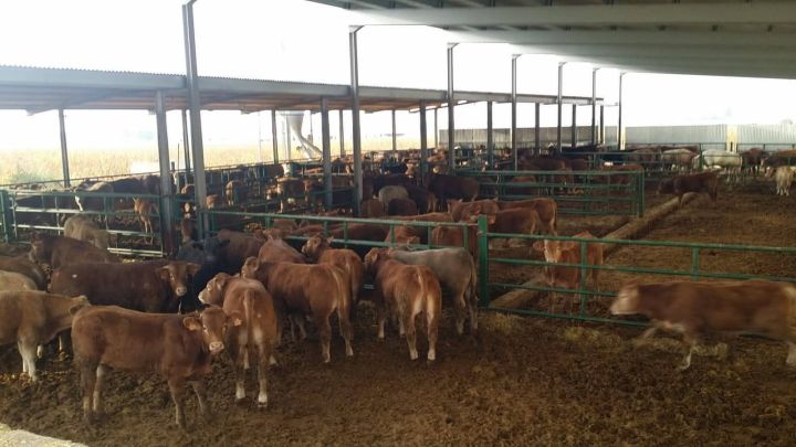 معلومات عن الاستثمار في اسبانيا شراء اراضي زراعيه فنادق منازل وال