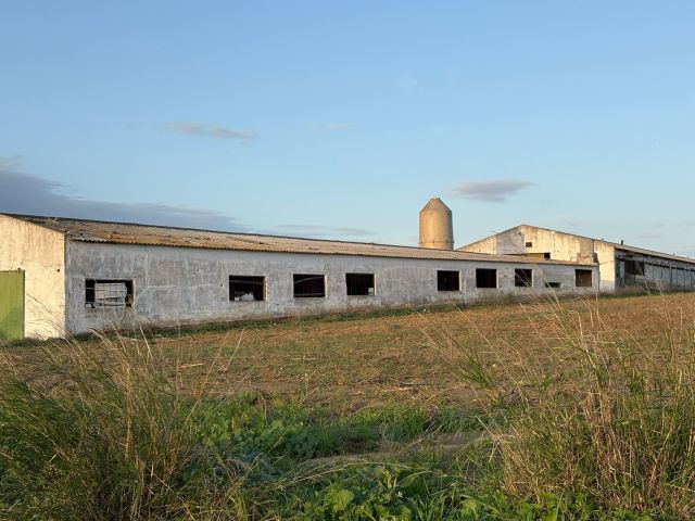 معلومات عن الاستثمار في اسبانيا شراء اراضي زراعيه فنادق منازل وال 6