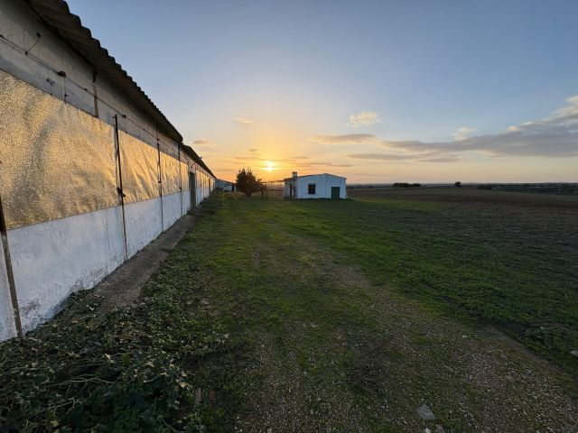 معلومات عن الاستثمار في اسبانيا شراء اراضي زراعيه فنادق منازل وال 7