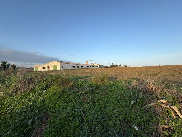 معلومات عن الاستثمار في اسبانيا شراء اراضي زراعيه فنادق منازل وال 9